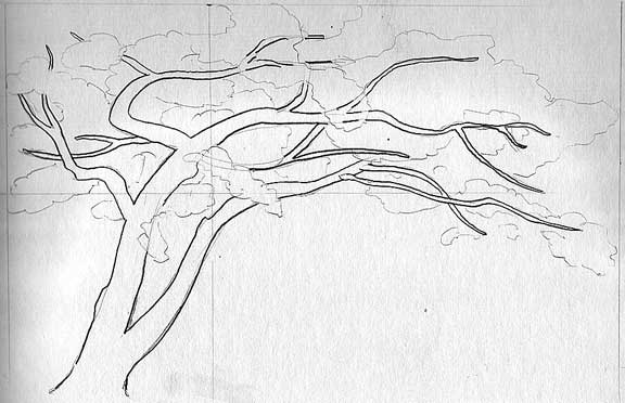 tree drawing with roots. original ink drawing tree